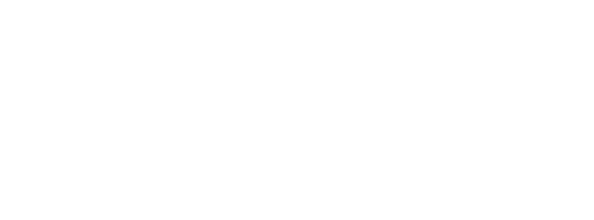 PURE Natural Hairfashion